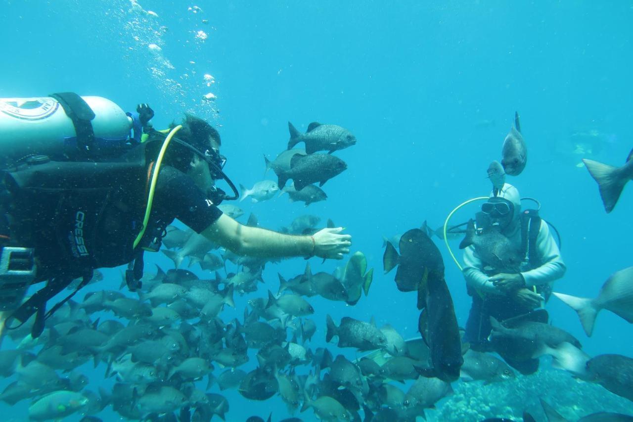 Tabari Dive Lodge Pulau Mansuar Extérieur photo